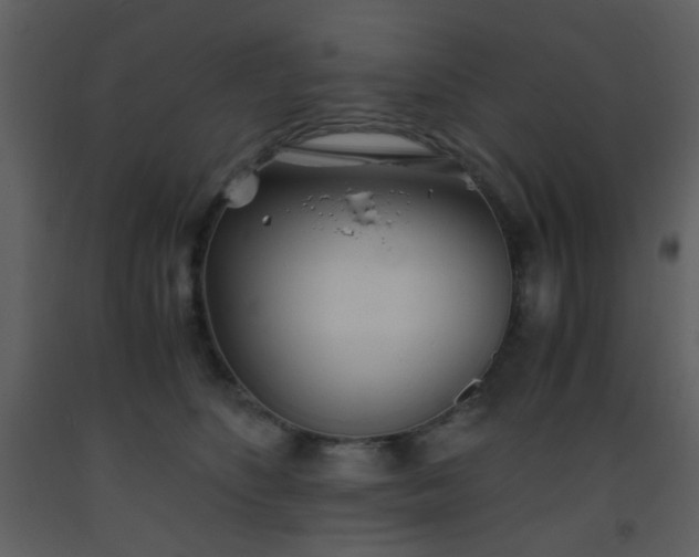 X0000093570516200710221446