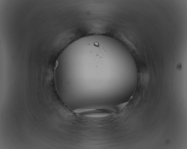 X0000093570517200710221446