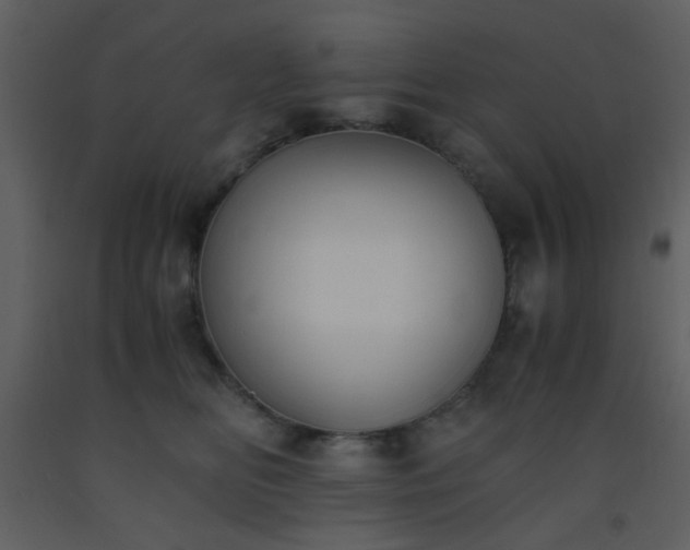 X0000093570518200710221446
