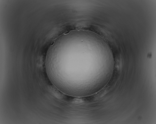 X0000093570519200710221446