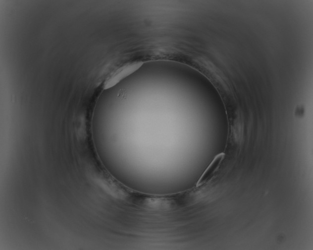 X0000093570520200710221446