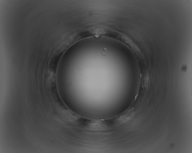 X0000093570521200710221446