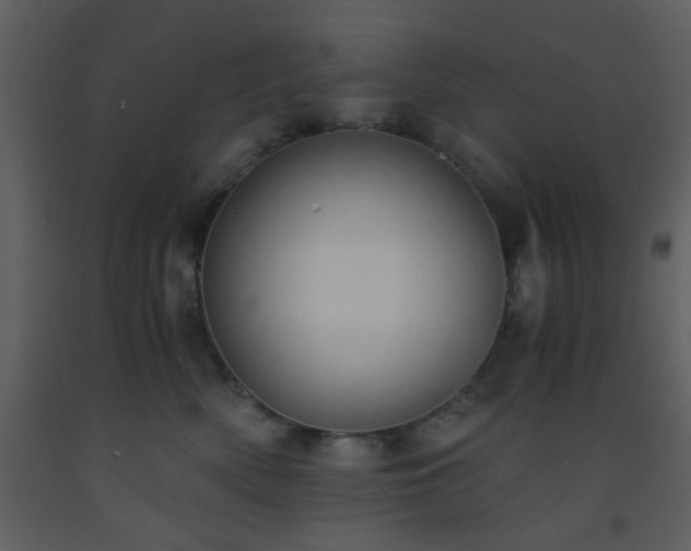 X0000093570522200710221446