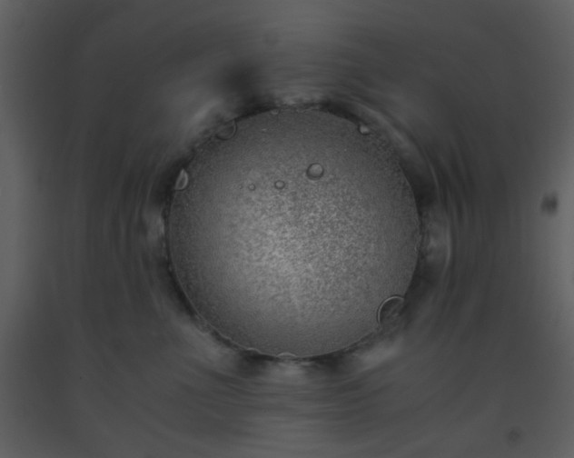 X0000093570523200710221446