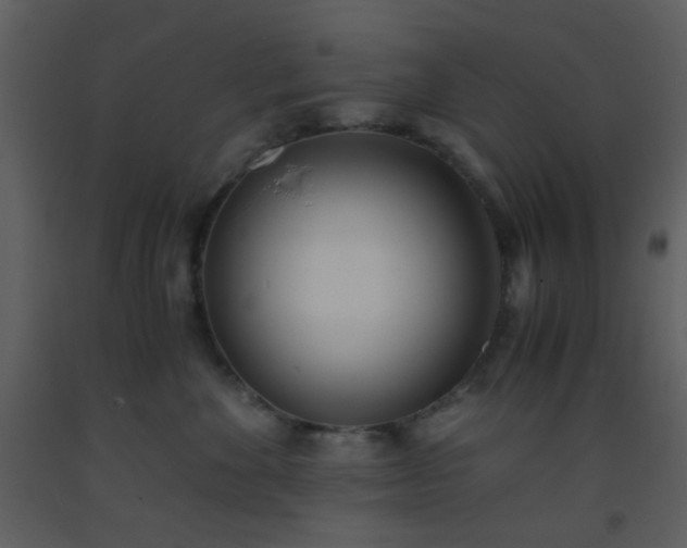 X0000093570524200710221446