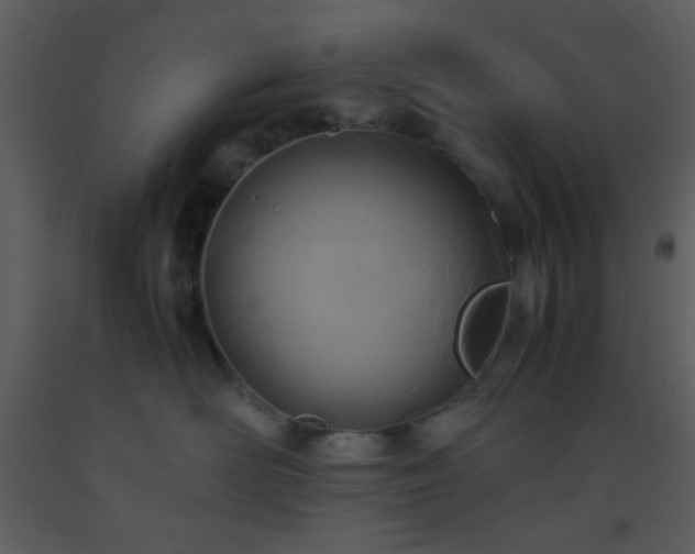 X0000093570526200710221446