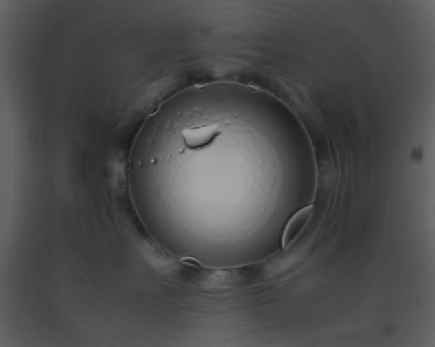 X0000093570527200710221446