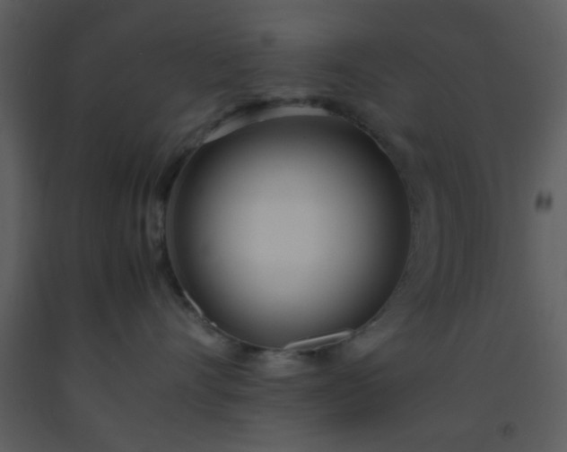 X0000093570528200710221446