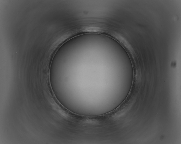 X0000093570529200710221445