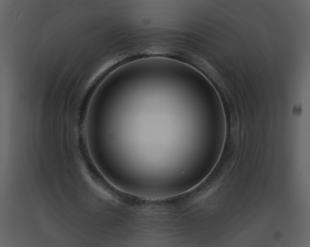 X0000093570530200710221445