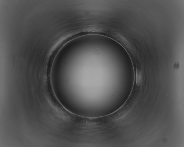 X0000093570531200710221445