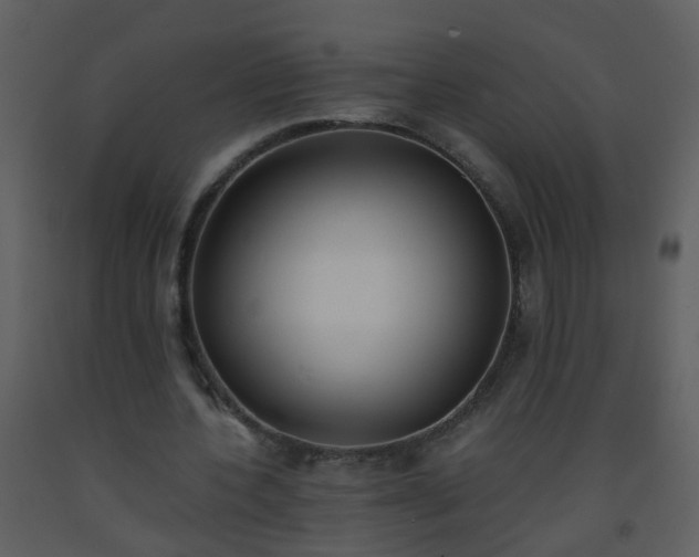 X0000093570532200710221445