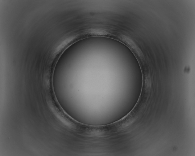 X0000093570533200710221445