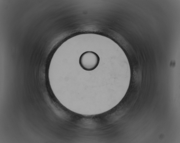 X0000093570534200710221445