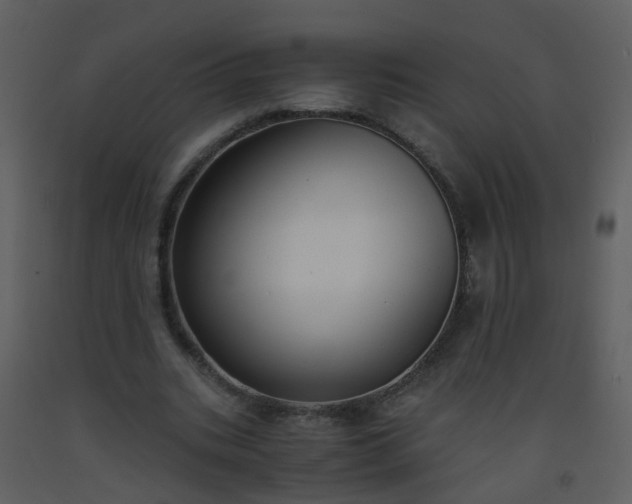 X0000093570535200710221445