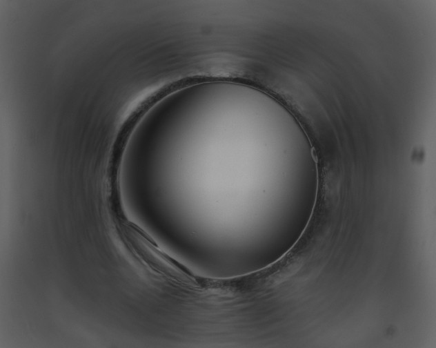 X0000093570536200710221445