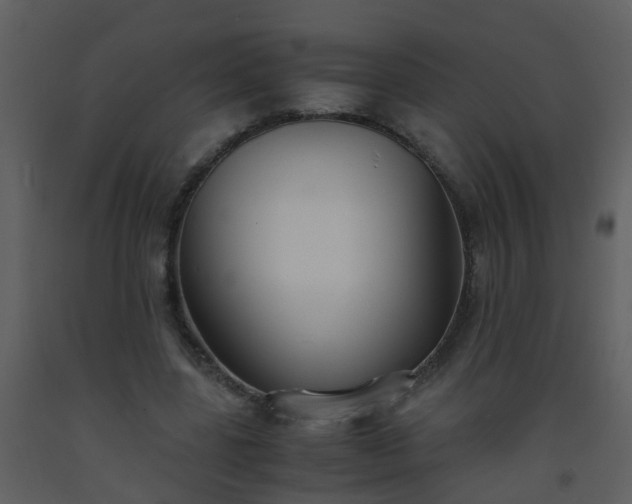 X0000093570539200710221445