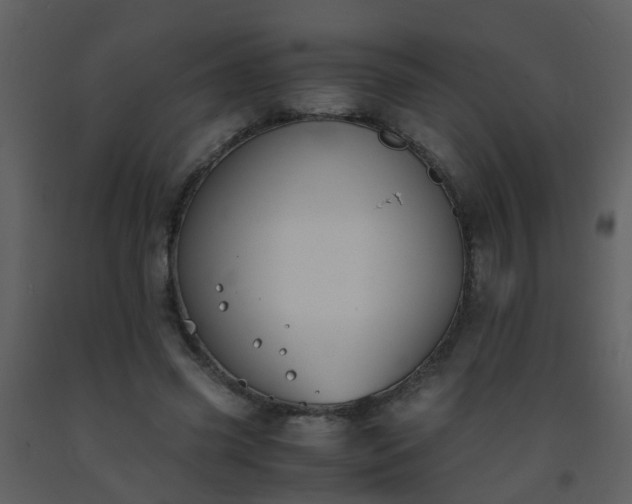 X0000093570541200710221445