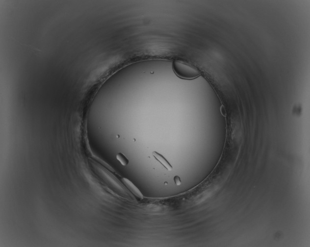 X0000093570542200710221445