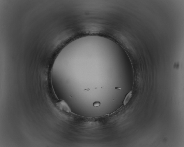 X0000093570543200710221445