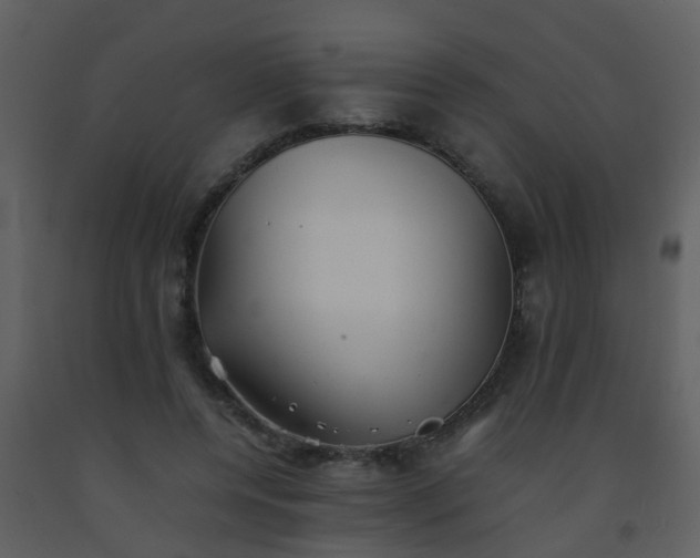 X0000093570544200710221445