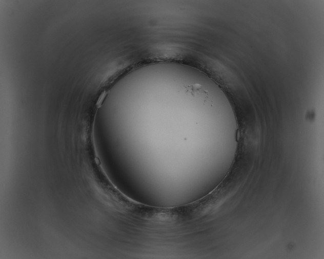 X0000093570546200710221445