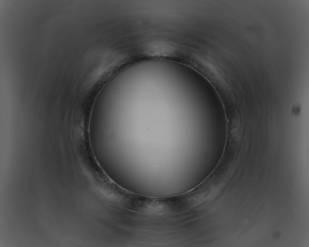 X0000093570547200710221445