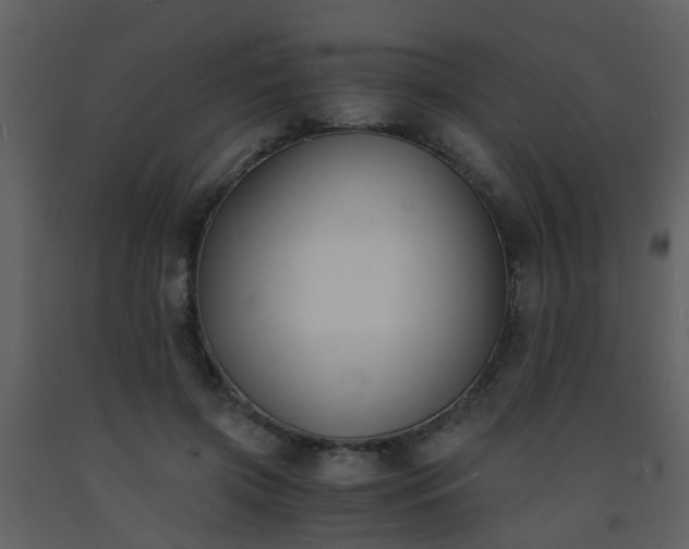 X0000093570549200710221445