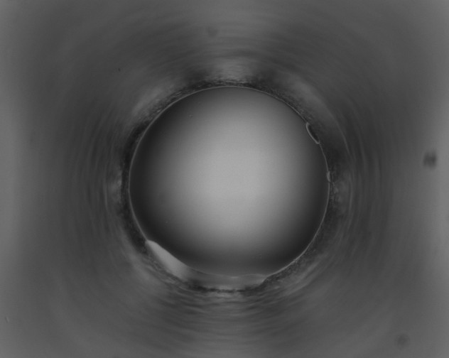 X0000093570552200710221445