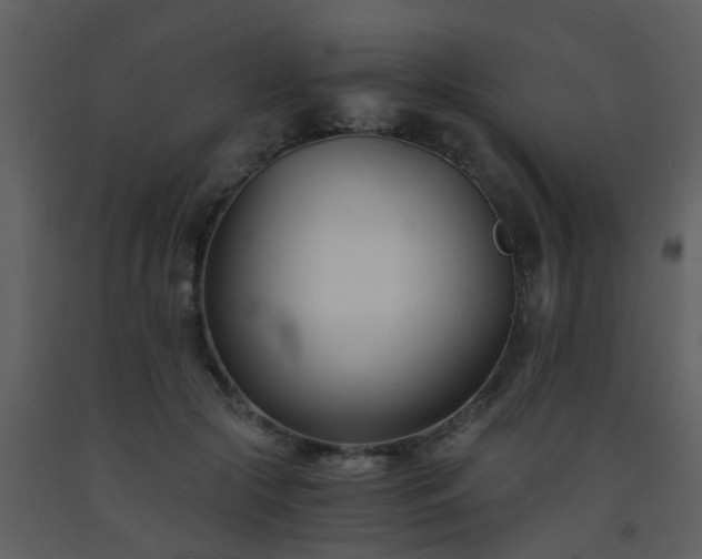 X0000093570553200710221445