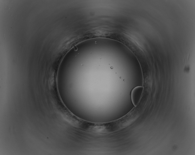 X0000093570554200710221445