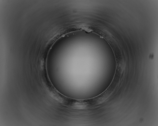 X0000093570556200710221446