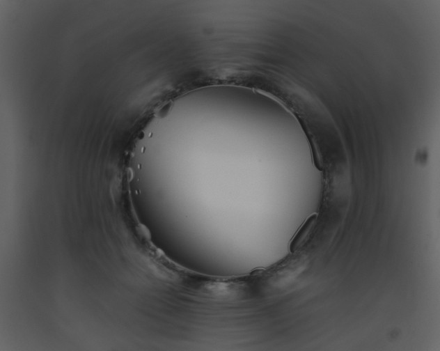 X0000093570558200710221446