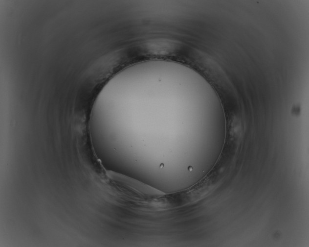 X0000093570559200710221446