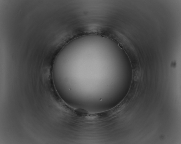X0000093570560200710221446