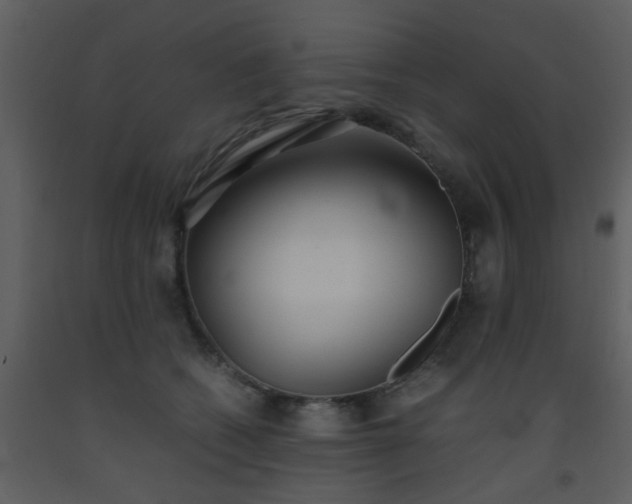 X0000093570562200710221446