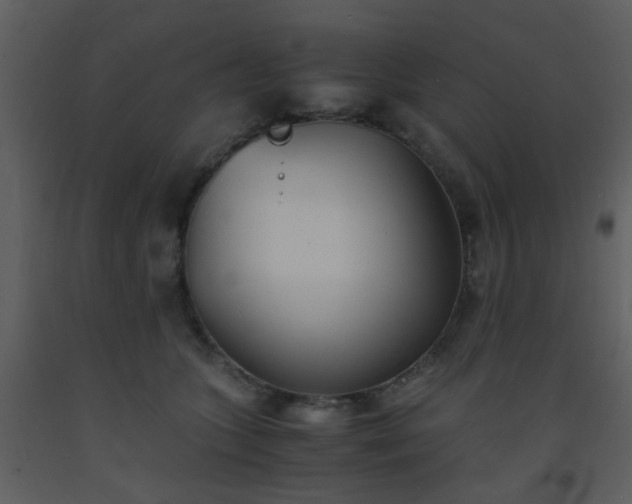 X0000093570563200710221446