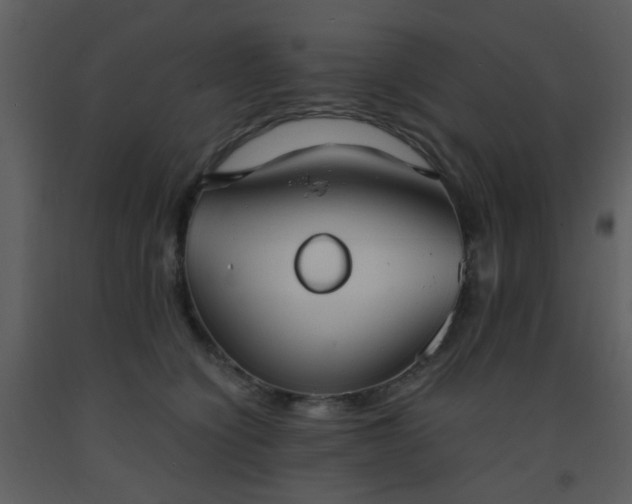 X0000093570564200710221446