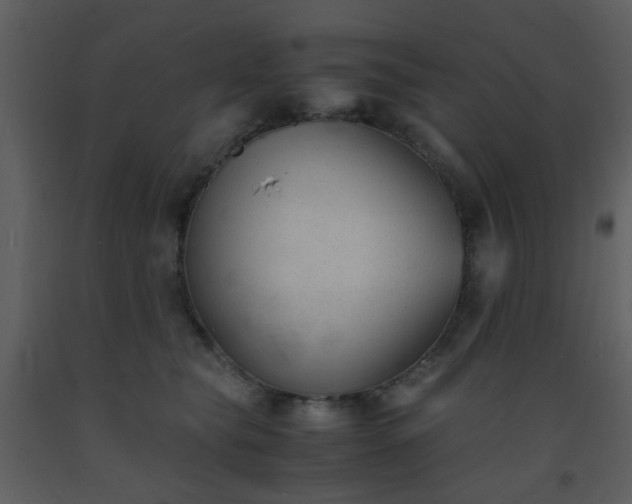 X0000093570565200710221446