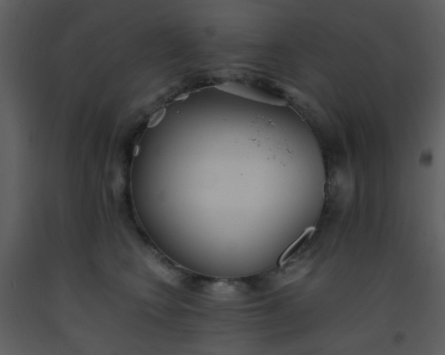 X0000093570566200710221446