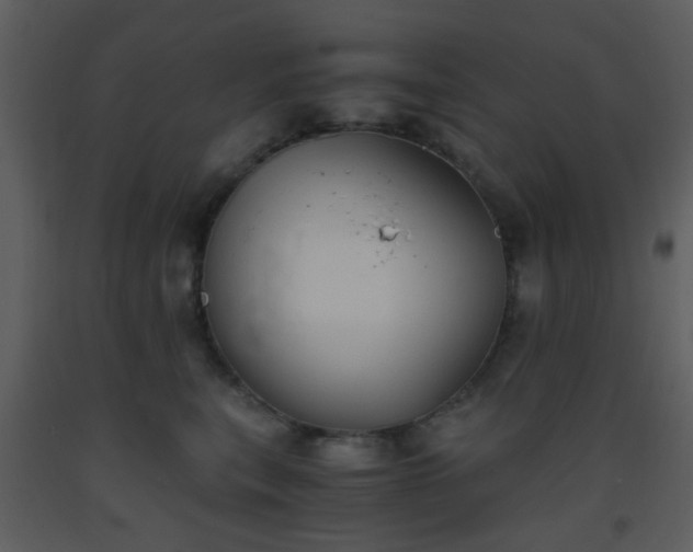 X0000093570567200710221446