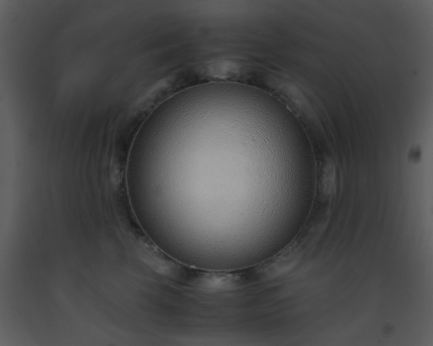 X0000093570569200710221446