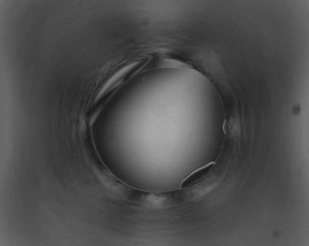 X0000093570570200710221446