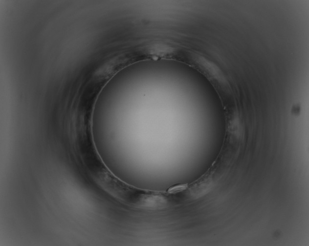 X0000093570572200710221446