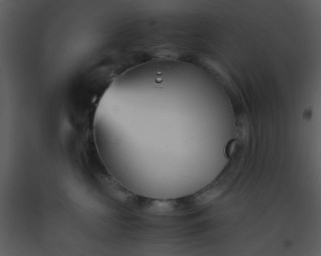 X0000093570573200710221446