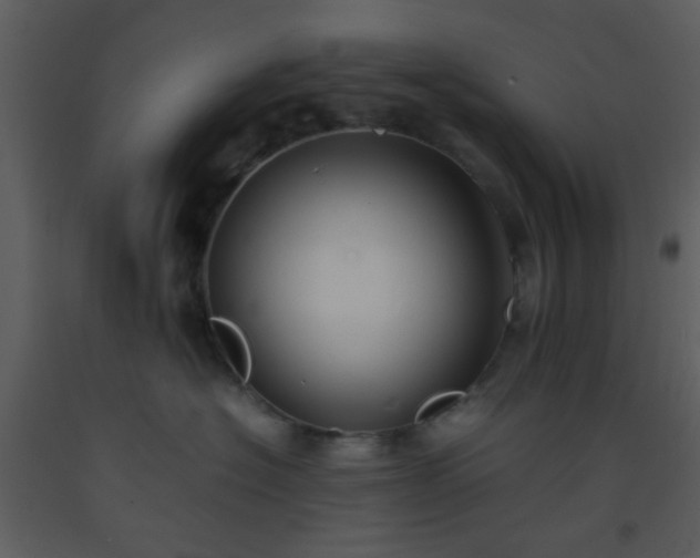X0000093570574200710221446