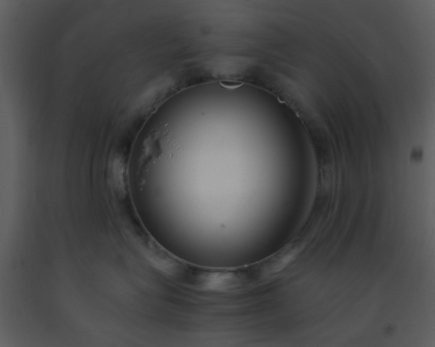 X0000093570575200710221446