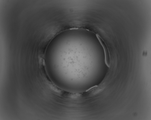 X0000093570576200710221446