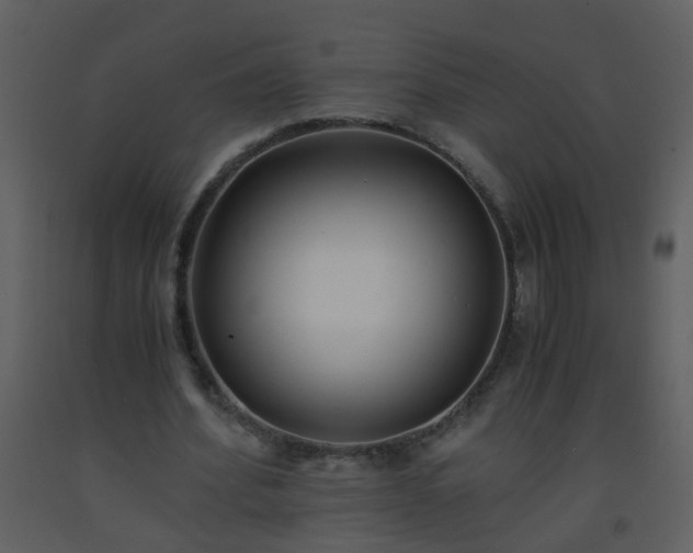 X0000093570580200710221445