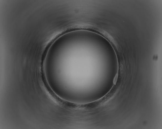 X0000093570581200710221445